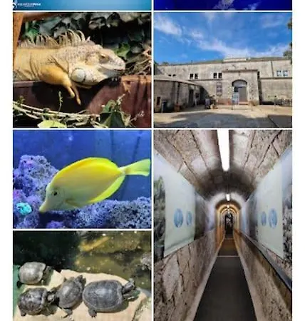 Kuca Za Odmor Goyo Appartamento